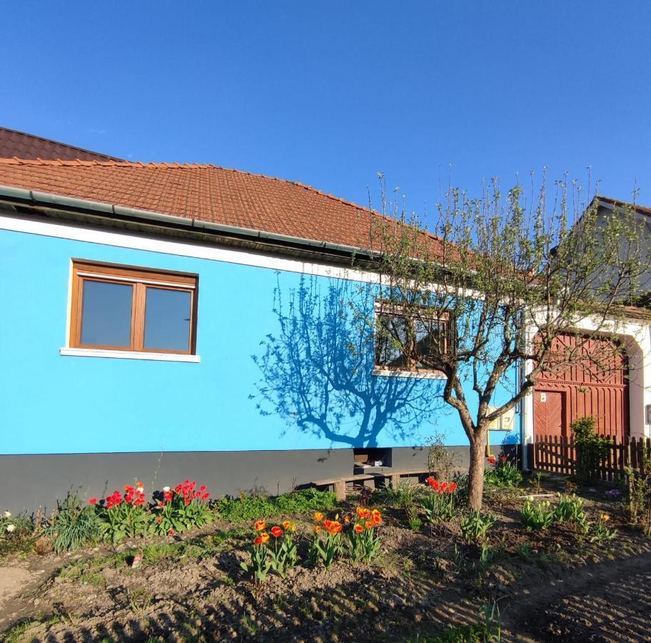 Blue Home Avrig Εξωτερικό φωτογραφία
